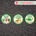 Wyka Ozima Nasiona 1 kg Ziarno Rośliny Bobowate
