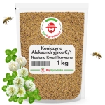 Koniczyna Aleksandryjska nasiona C/1 miododajna na poplon 1 KG - REDUM