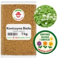 Koniczyna biała 1 kg nasiona na poplon zielona masa miododajna - REDUM