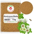 Koniczyna biała 1 kg nasiona na poplon zielona masa miododajna - REDUM
