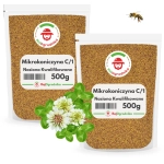 Mikrokoniczyna koniczyna nasiona do trawnika, łąki kwietnej i na poplon 1 KG