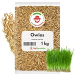 Owies na poplon 1 kg zielona masa i poprawa struktury gleby - REDUM
