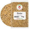 Owies na poplon 1 kg zielona masa i poprawa struktury gleby - REDUM