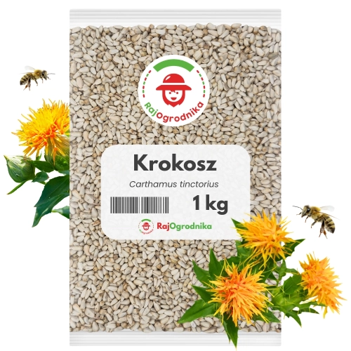Krokosz barwierski 1 kg  nasiona na poplon miododajny karma dla ptaków - REDUM