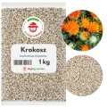 Krokosz barwierski 1 kg  nasiona na poplon miododajny karma dla ptaków - REDUM