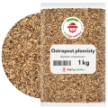 Ostropest plamisty 1 kg  nasiona na poplon roślina miododajna - REDUM
