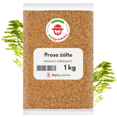 Proso żółte 1 kg karma dla dzikich ptaków nasiona na poplon - REDUM