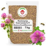 Koniczyna CZERWONA ŁĄKOWA nasiona wieloletnia C/1 KWALIFIKOWANE 1 KG