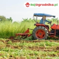 Mieszanka Poplonowa Ozima z żytem MP-7 nasiona 1kg