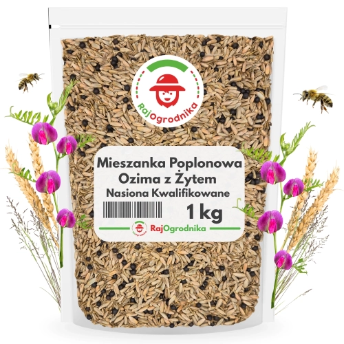 Mieszanka Poplonowa Ozima z żytem MP-7 nasiona 1kg