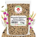 Mieszanka Poplonowa Ozima z żytem MP-7 nasiona 1kg