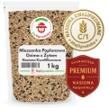 Mieszanka Poplonowa Ozima z żytem MP-7 nasiona 1kg