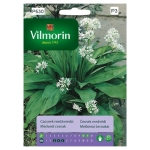 Czosnek Niedźwiedzi nasiona 0,4 g - VILMORIN