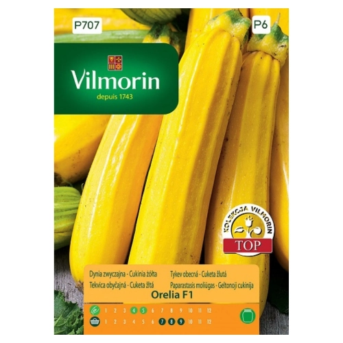 Dynia Zwyczajna Orelia F1 cukinia nasiona 2 g - VILMORIN