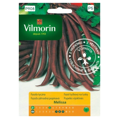 Fasola tyczna szparagowa fioletowa Melissa nasiona 10g - VILMORIN