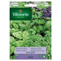 Bazylia Bel Canto mieszanka nasion 1 g - VILMORIN