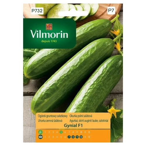 Ogórek gruntowy sałatkowy Gynial F1 nasiona 2g - VILMORIN
