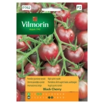 Pomidor Black Cherry gruntowy wysoki koktajlowy nasiona 0,2g - VILMORIN