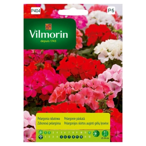Pelargonia rabatowa mieszanka nasiona 10szt. - VILMORIN