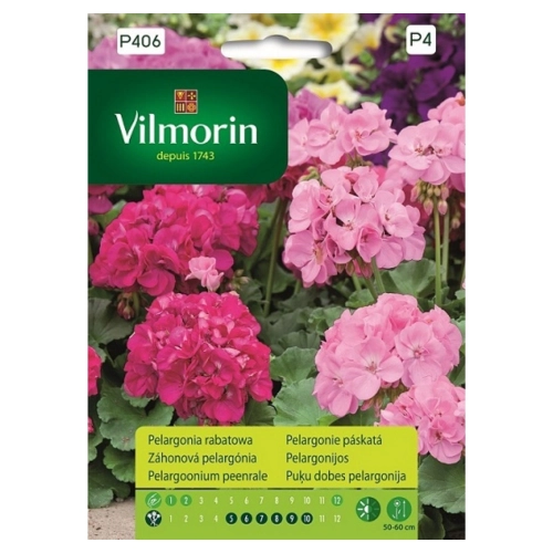 Pelargonia rabatowa różowa nasiona 10szt. - VILMORIN