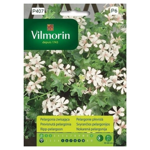 Pelargonia Zwisająca biała nasiona 7szt. - VILMORIN