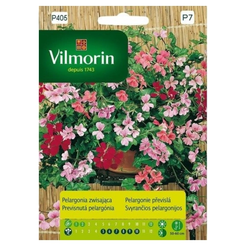 Pelargonia Zwisająca mieszanka nasiona 5szt. - VILMORIN