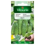 Ogórek gruntowy Hela F1 otoczkowany nasiona 50szt. - VILMORIN