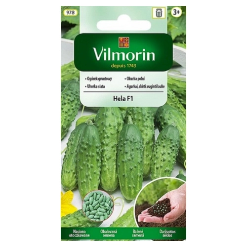 Ogórek gruntowy Hela F1 otoczkowany nasiona 50szt. - VILMORIN