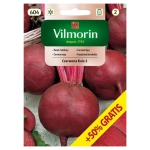 Burak ćwikłowy Czerwona Kula 2 Detroit 2 nasiona 15 g - VILMORIN