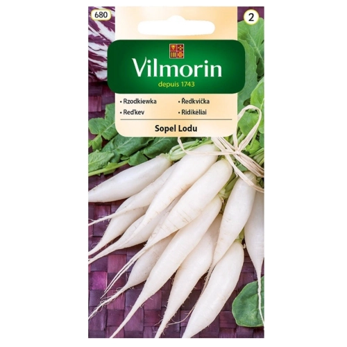Rzodkiewka Sopel Lodu biała nasiona 10 g - VILMORIN