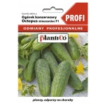 Ogórek konserwowy Octopus F1 nasiona 1,5g - PlantiCo