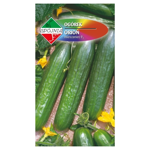 Ogórek sałatkowy Orion nasiona 1g - Spójnia