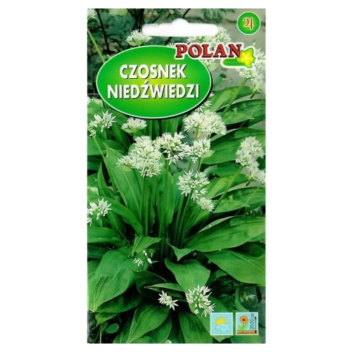 Czosnek Niedźwiedzi nasiona 0,5 g - POLAN
