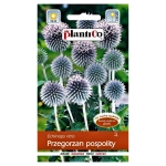 Przegorzan nasiona 1g - PlantiCo