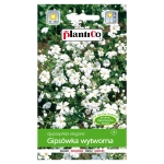Gipsówka wytworna biała 1g - PlantiCo