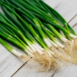 Cebula siedmiolatka szczypior Bajkal mrozoodporna 3g - TORAF