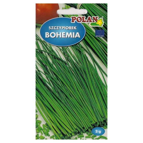 Szczypiorek Bohemia nasiona 2g - POLAN