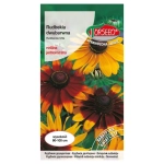 Rudbekia dwubarwna nasiona 2g - TORSEED