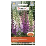 Naparstnica purpurowa MIX nasiona 0,3g - PlantiCo