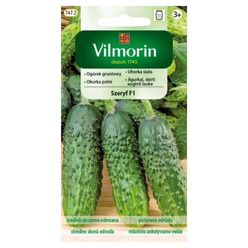 Ogórek gruntowy Szeryf F1 nasiona 3g - VILMON