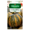 Dynia Zwyczajna Olga bezłupinowa nasiona 2g - VILMORIN