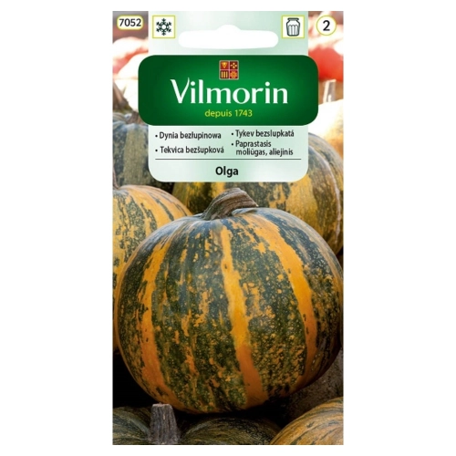 Dynia Zwyczajna Olga bezłupinowa nasiona 2g - VILMORIN