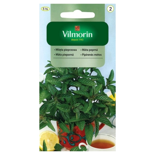 Mięta Pieprzowa Classic nasiona 0,1g - VILMORIN