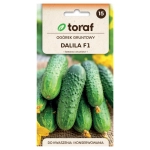 Ogórek gruntowy Dalila F1 nasiona 5g - TORAF