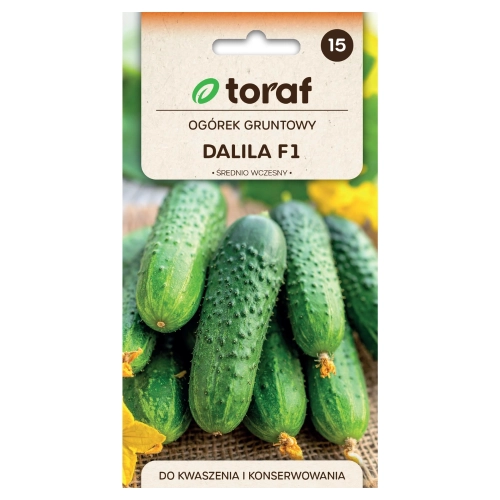 Ogórek gruntowy Dalila F1 nasiona 5g - TORAF