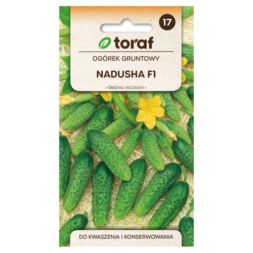 Ogórek gruntowy Nadusha F1 nasiona 1g - TORAF
