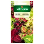 Koleus Blumego bardzo kolorowe liście nasiona 0,2g - VILMORIN