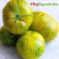 Pomidor Green Zebra nasiona 0,2g - W. Legutko