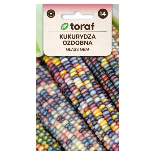 Kukurydza ozdobna Glass Gem 3g - TORAF