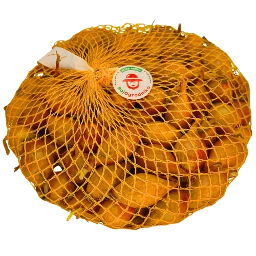 Cebula Dymka żółta Wolska do sadzenia 500g Wiosenna 15-20 mm III